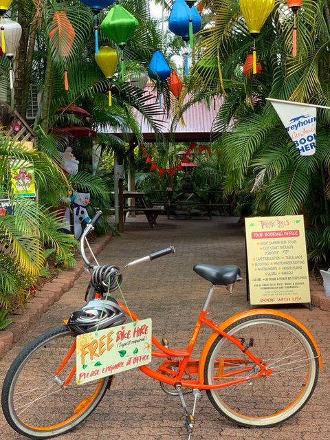 Tropic Days Boutique Hostel - Accommodation Sunshine Coast 3