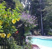 Tropical Coast Retreat - Pet Friendly - Accommodation Sunshine Coast