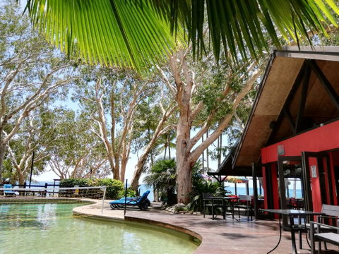 Turtle Cove Beach Resort - Adults Only LGBTQIA & Allies - Accommodation Sunshine Coast 0