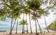 Turtle Cove Beach Resort - Adults Only LGBTQIA & Allies - thumb 3