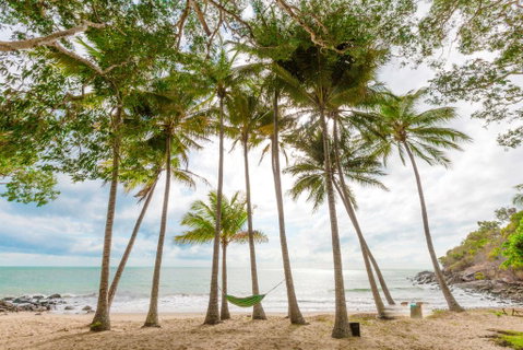 Turtle Cove Beach Resort - Adults Only LGBTQIA & Allies - Accommodation Sunshine Coast 3