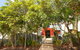 Unit 4, Beaumont Sur Mer, 13 - 15 Pacific Terrace Coolum Beach, 400 BOND, LINEN SUPPLIED - thumb 3
