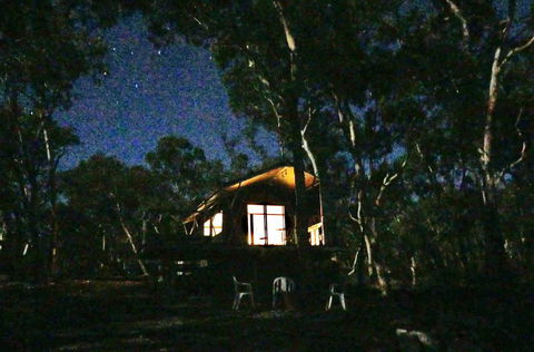 Wallabies Rest - Accommodation Sunshine Coast 2