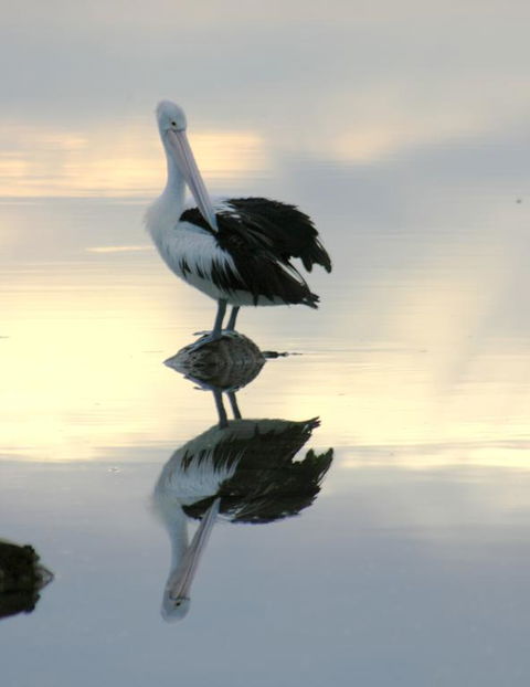 Wanderers Rest Of Kangaroo Island - Accommodation Sunshine Coast 3