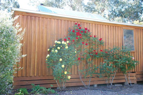 Bluegum Ridge Cottages - Accommodation Sunshine Coast 23