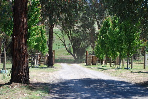 Bluegum Ridge Cottages - Accommodation Sunshine Coast 3