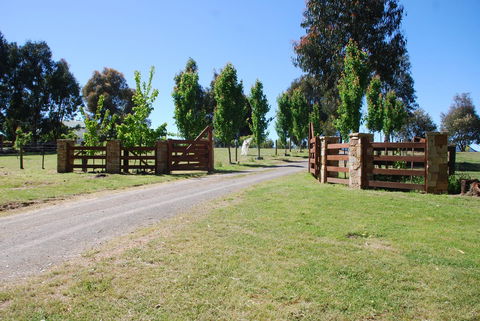 Bluegum Ridge Cottages - Accommodation Sunshine Coast 2
