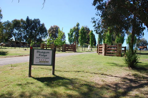 Bluegum Ridge Cottages - Accommodation Sunshine Coast 1