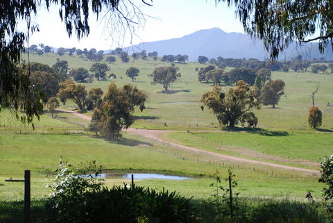 Bluegum Ridge Cottages - Accommodation Sunshine Coast 31