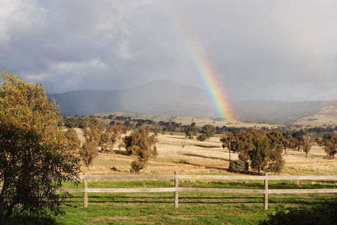 Bluegum Ridge Cottages - Accommodation Sunshine Coast 32