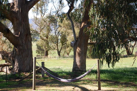 Bluegum Ridge Cottages - Accommodation Sunshine Coast 28
