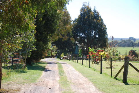 Bluegum Ridge Cottages - Accommodation Sunshine Coast 4