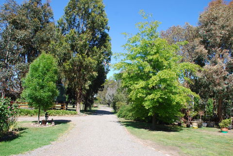 Bluegum Ridge Cottages - Accommodation Sunshine Coast 5