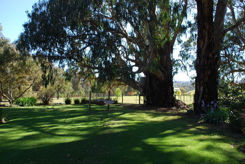 Bluegum Ridge Cottages - Accommodation Sunshine Coast 29