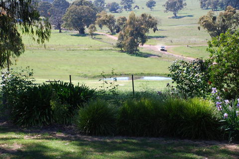 Bluegum Ridge Cottages - Accommodation Sunshine Coast 30