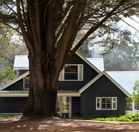 The Orchard - Accommodation Sunshine Coast