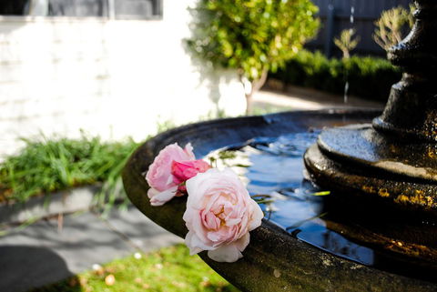 Bed Of Roses - Accommodation Sunshine Coast 35