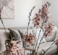 Bed of Roses - Accommodation Sunshine Coast