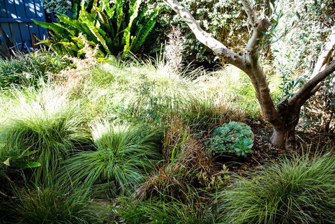 Bed Of Roses - Accommodation Sunshine Coast 21