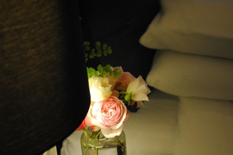 Bed Of Roses - Accommodation Sunshine Coast 23