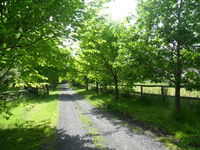 Book Wonga Park Accommodation Vacations Accommodation Sunshine Coast Accommodation Sunshine Coast