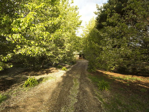 Angel's Rest - Accommodation Sunshine Coast 0