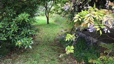 Lorelei Bed & Breakfast - Accommodation Sunshine Coast 10