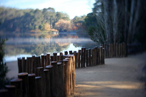 Minni Gums - Accommodation Sunshine Coast 4