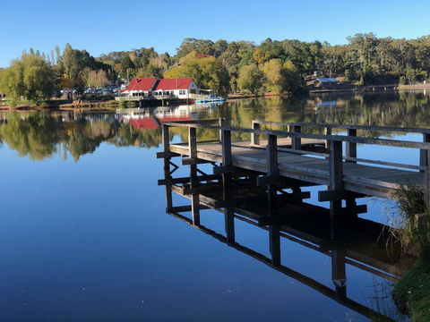 Minni Gums - Accommodation Sunshine Coast 3