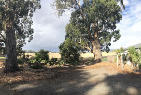 Minni Gums - Accommodation Sunshine Coast 18