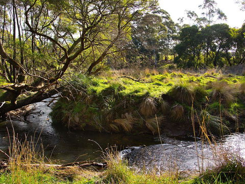 Green Gully House - Accommodation Sunshine Coast 5