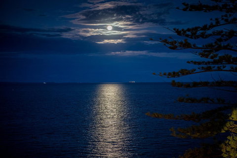 The Sebel Brisbane Margate Beach - Accommodation Sunshine Coast 31