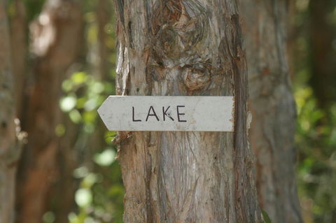 Lake Weyba Noosa Lodge & Kangaroos - Accommodation Sunshine Coast 36