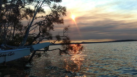 Lake Weyba Noosa Lodge & Kangaroos - Accommodation Sunshine Coast 40