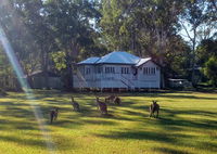 Book Peregian Beach Accommodation Vacations Accommodation Sunshine Coast Accommodation Sunshine Coast