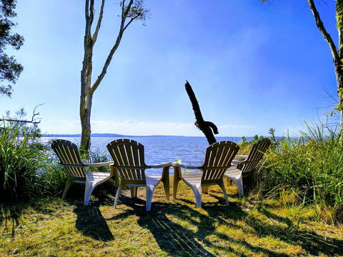 Lake Weyba Noosa Lodge & Kangaroos - Accommodation Sunshine Coast 44