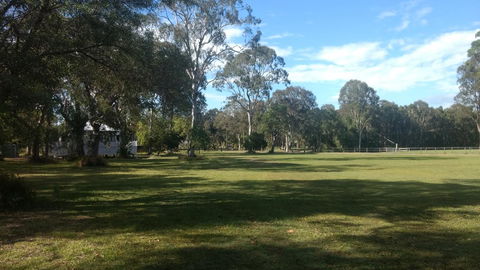 Lake Weyba Noosa Lodge & Kangaroos - Accommodation Sunshine Coast 23