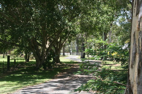 Lake Weyba Noosa Lodge & Kangaroos - Accommodation Sunshine Coast 34