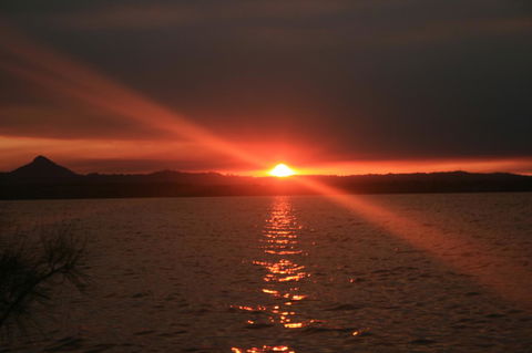 Lake Weyba Noosa Lodge & Kangaroos - Accommodation Sunshine Coast 41