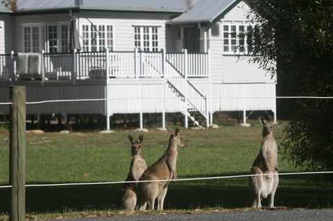 Lake Weyba Noosa Lodge & Kangaroos - Accommodation Sunshine Coast 28
