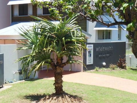 Whale Watch Ocean Beach Resort - Accommodation Sunshine Coast 15