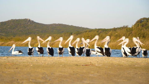 Castaways Moreton Island - Accommodation Sunshine Coast 11