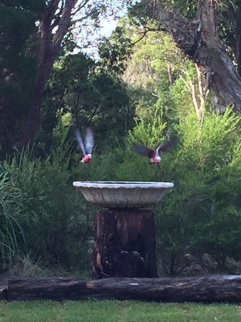 Castaways Moreton Island - Accommodation Sunshine Coast 8