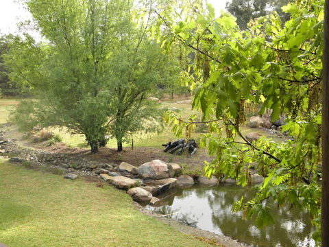Granite Belt Retreat And Brewery - Accommodation Sunshine Coast 21