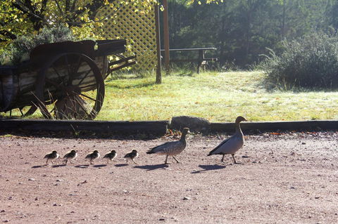 Granite Belt Retreat And Brewery - Accommodation Sunshine Coast 22