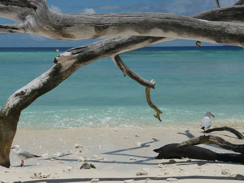 Beach Club Port Douglas Luxury Apartments - Accommodation Sunshine Coast 23