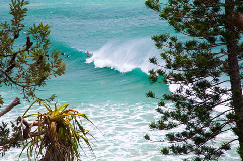 Rainbow Bay Backpackers - Accommodation Sunshine Coast 15