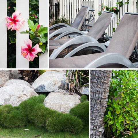 Coolum Caprice - Accommodation Sunshine Coast 22