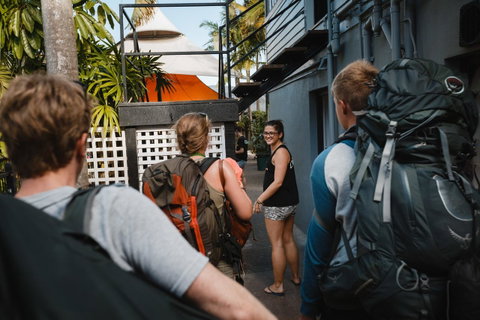 Mad Monkey Central - Accommodation Sunshine Coast 39