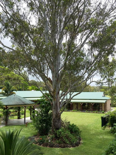 The Bearded Dragon Boutique Hotel - Accommodation Sunshine Coast 32
